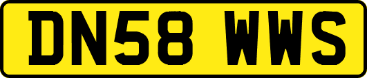 DN58WWS
