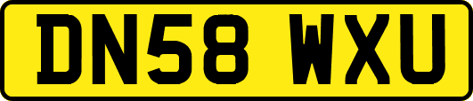 DN58WXU