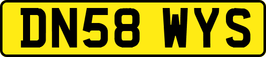 DN58WYS