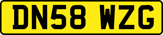 DN58WZG