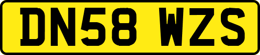 DN58WZS