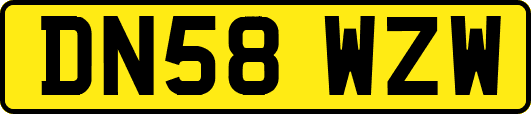 DN58WZW