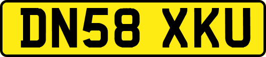 DN58XKU