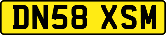 DN58XSM
