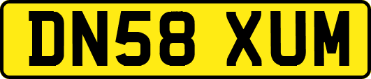 DN58XUM
