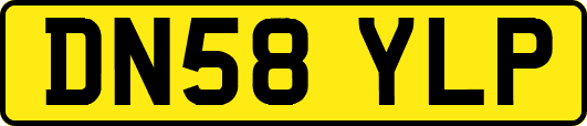 DN58YLP