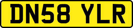 DN58YLR