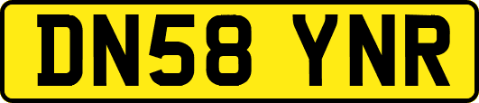 DN58YNR