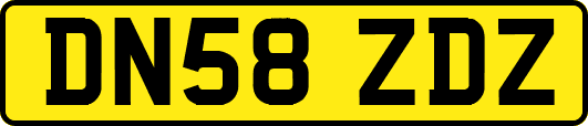 DN58ZDZ