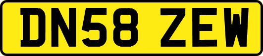 DN58ZEW