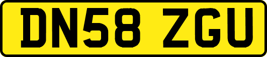 DN58ZGU