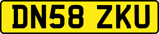 DN58ZKU