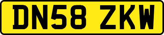 DN58ZKW
