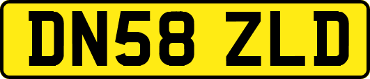 DN58ZLD