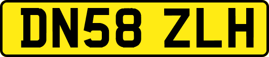 DN58ZLH