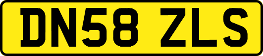 DN58ZLS
