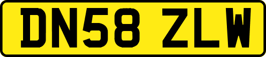 DN58ZLW