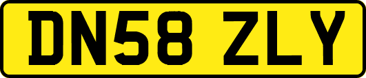 DN58ZLY