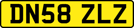 DN58ZLZ