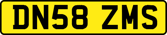 DN58ZMS