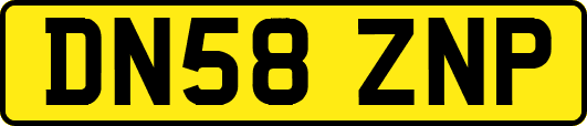 DN58ZNP