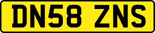 DN58ZNS