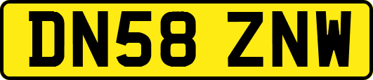 DN58ZNW