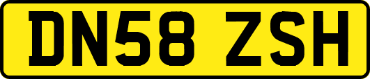 DN58ZSH