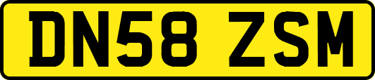DN58ZSM