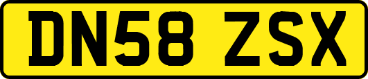 DN58ZSX
