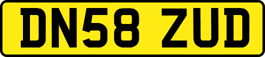 DN58ZUD