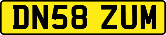 DN58ZUM