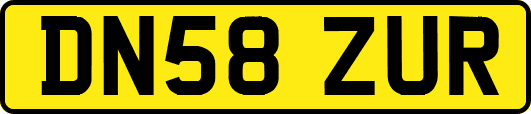 DN58ZUR