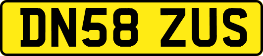 DN58ZUS