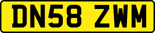 DN58ZWM