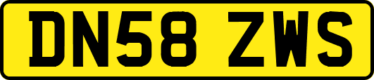 DN58ZWS