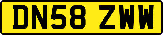 DN58ZWW