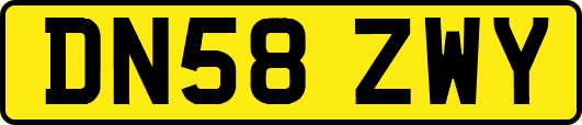 DN58ZWY