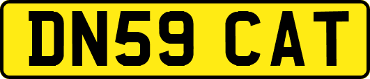 DN59CAT