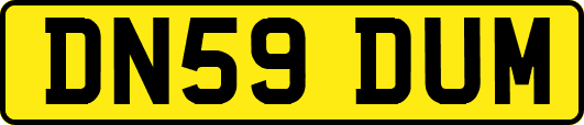 DN59DUM
