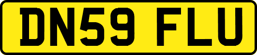 DN59FLU