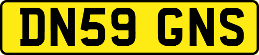 DN59GNS