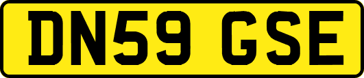 DN59GSE