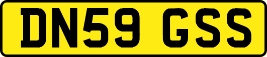 DN59GSS