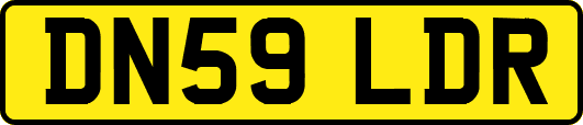 DN59LDR