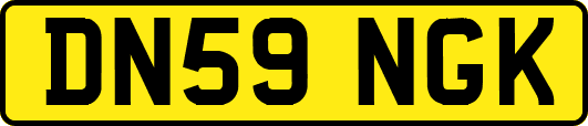DN59NGK