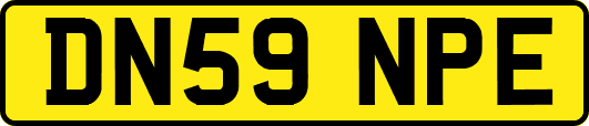 DN59NPE