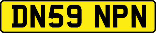 DN59NPN
