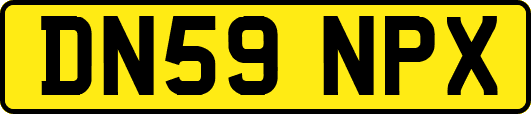 DN59NPX