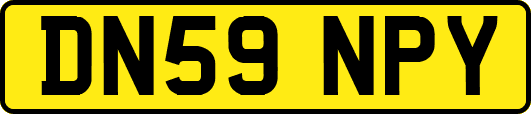 DN59NPY